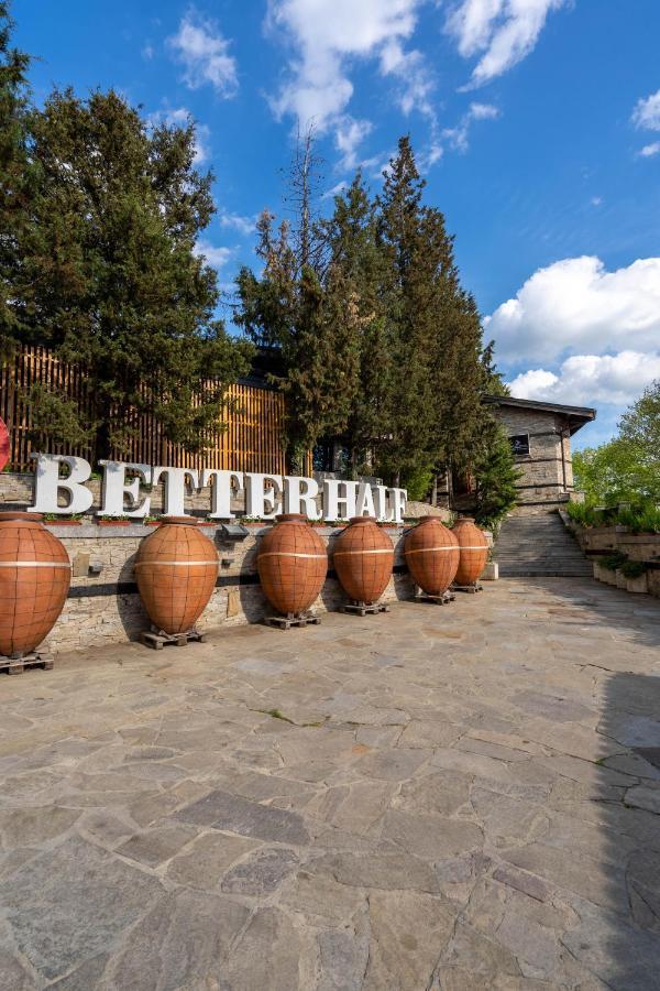 Villa Yana Hotel Winery&Spa Стара-Загора Экстерьер фото